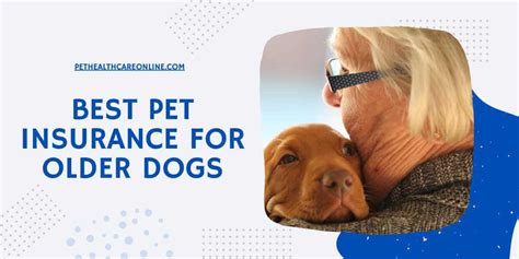 insurance for older pets